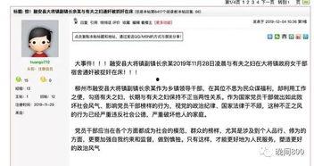 广西新闻在线爆料范围,聚焦地方热点，揭秘民生动态
