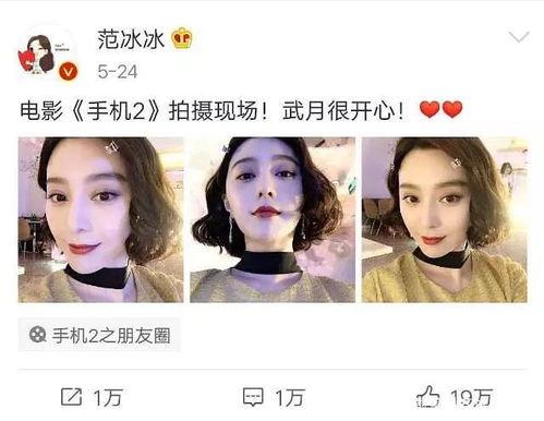 兔兔吃瓜娱乐圈